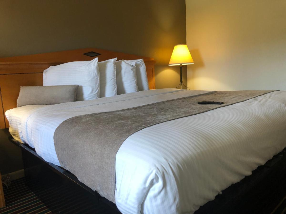 Budget Inn Timmonsville Esterno foto